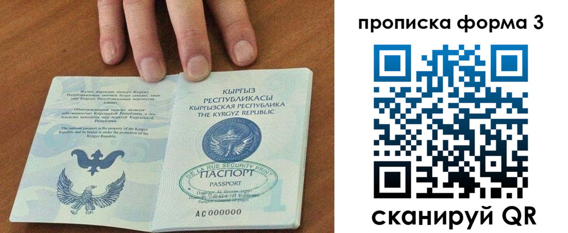 прописка 2025 в Гагарине
